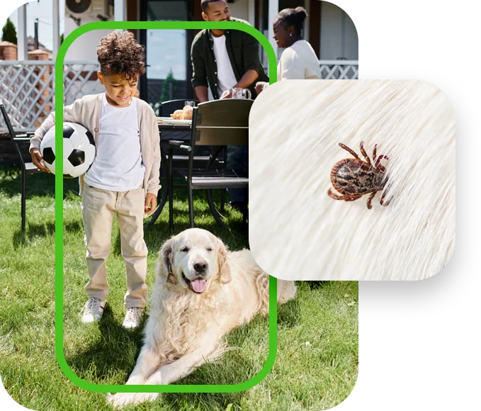 kid playing with dog outside