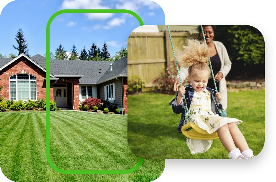 house healthy green grass family swing set