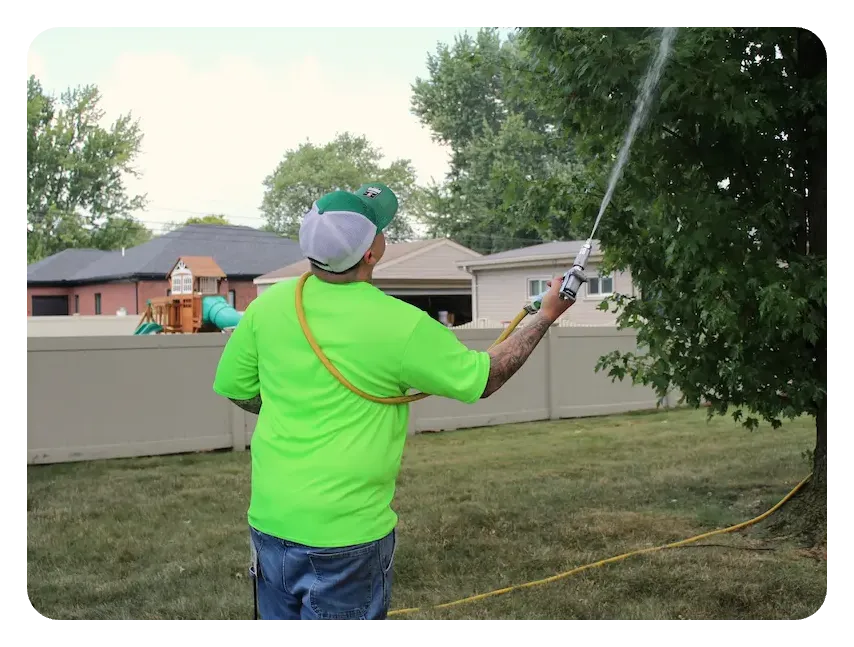 turf doctor tech spraying tree
