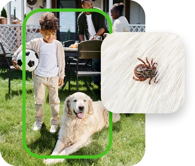 kid playing with dog outside